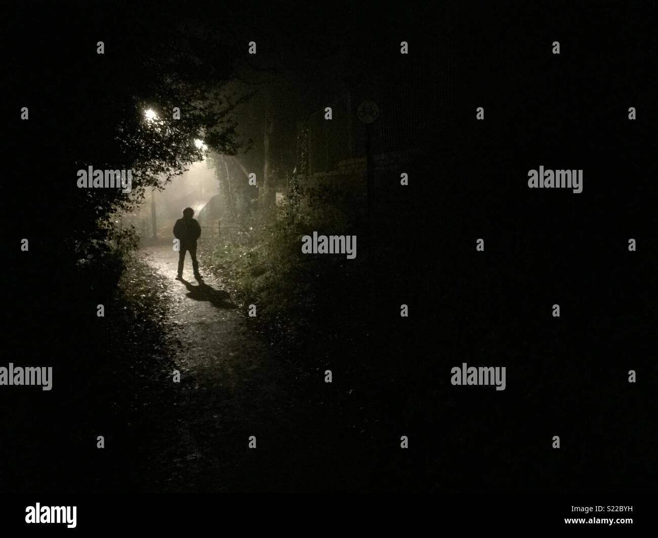 Stranger silhouetted at night. - Smartphone Captured Stock Image