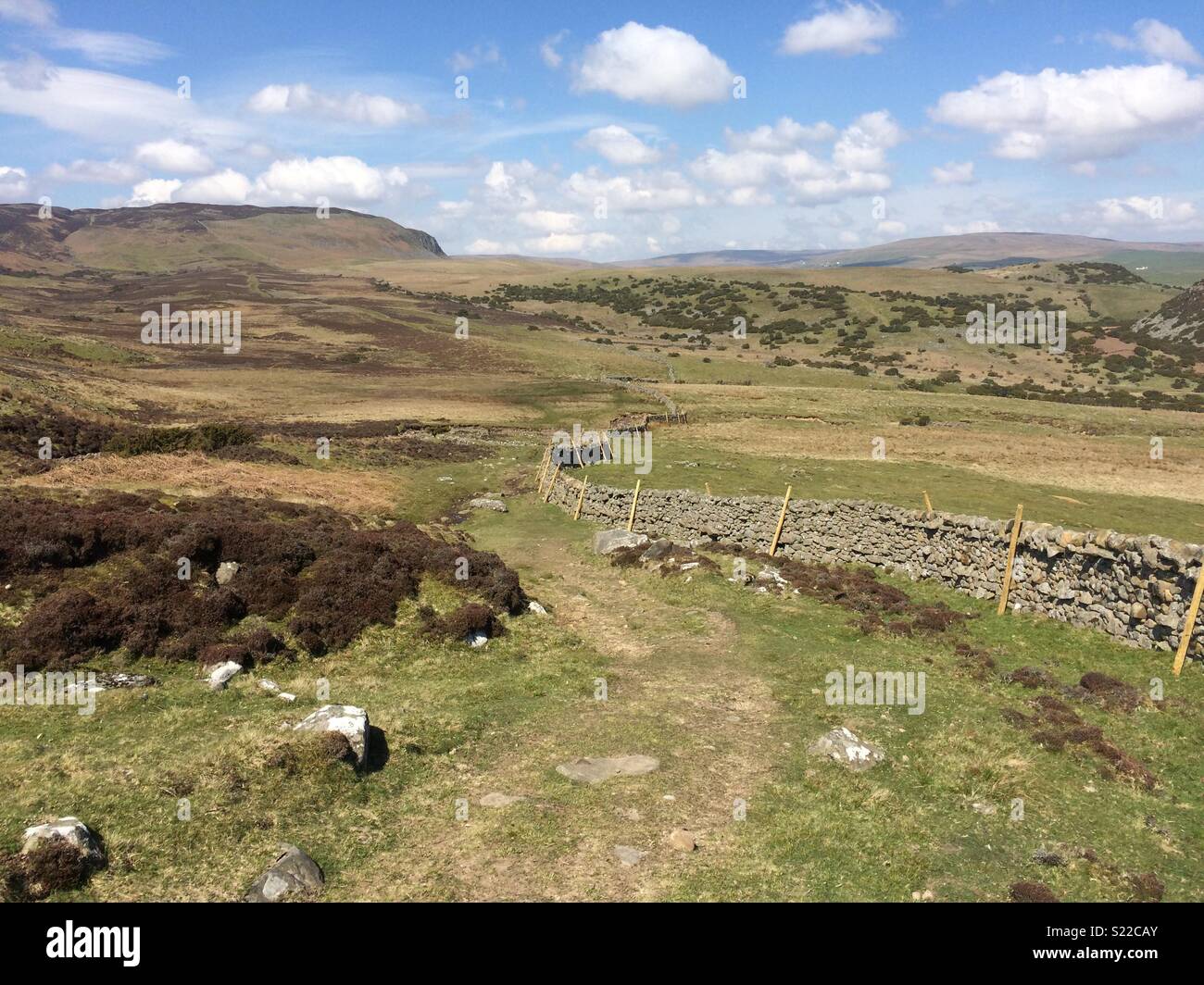 Upper Teesdale Stock Photo Alamy