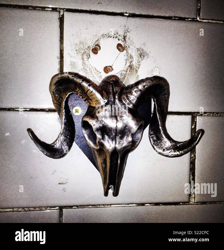 Rams Skull coat hook Stock Photo Alamy