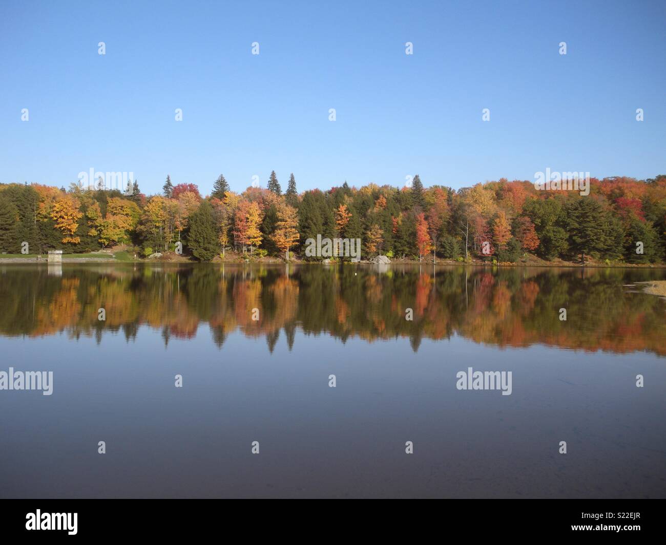 Fall foliage in Pennsylvania Stock Photo - Alamy