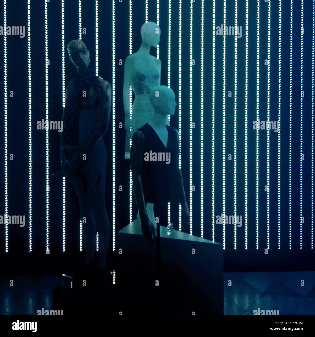 Display in high end fashion store Stock Photo Alamy