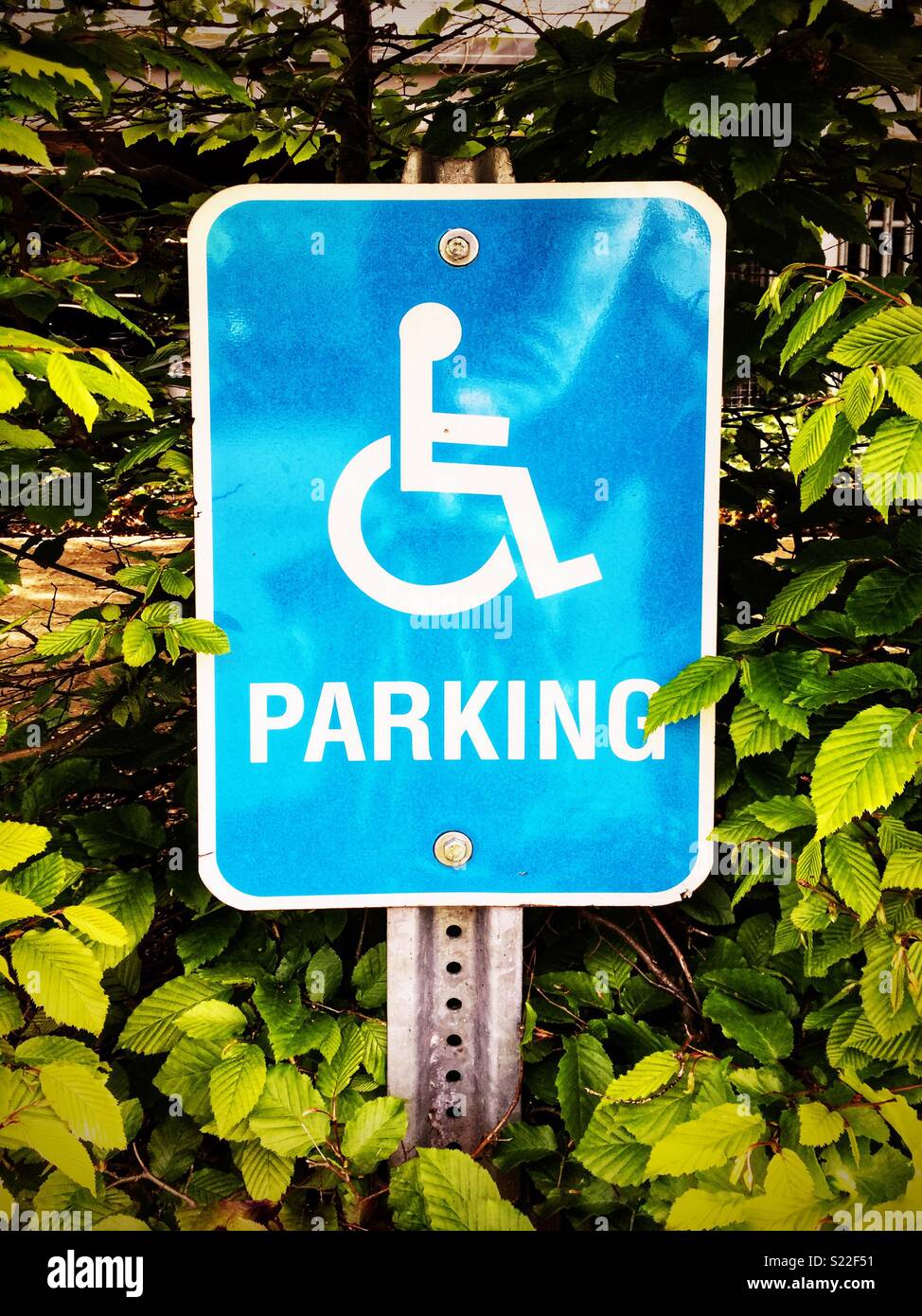 A disabled parking sign Stock Photo - Alamy