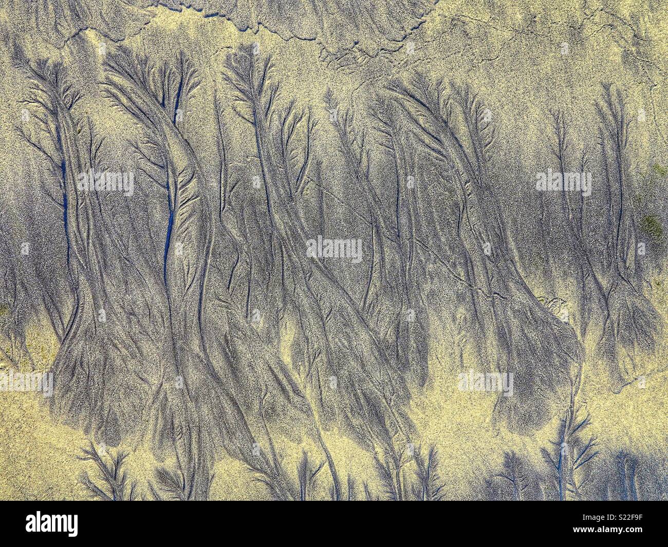 Dendritic drainage patterns on a sandy beach Stock Photo