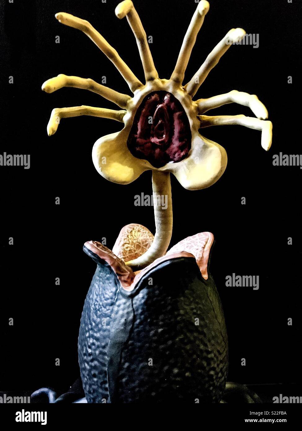 Facehugger jumping from egg figurine Stock Photo Alamy