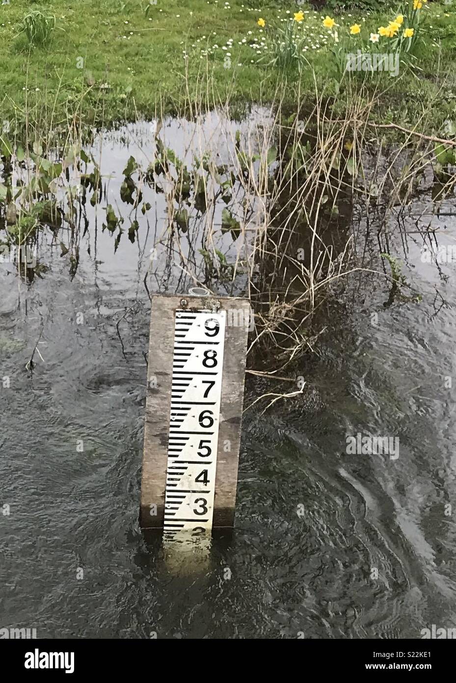 Ringwood hires stock photography and images Alamy