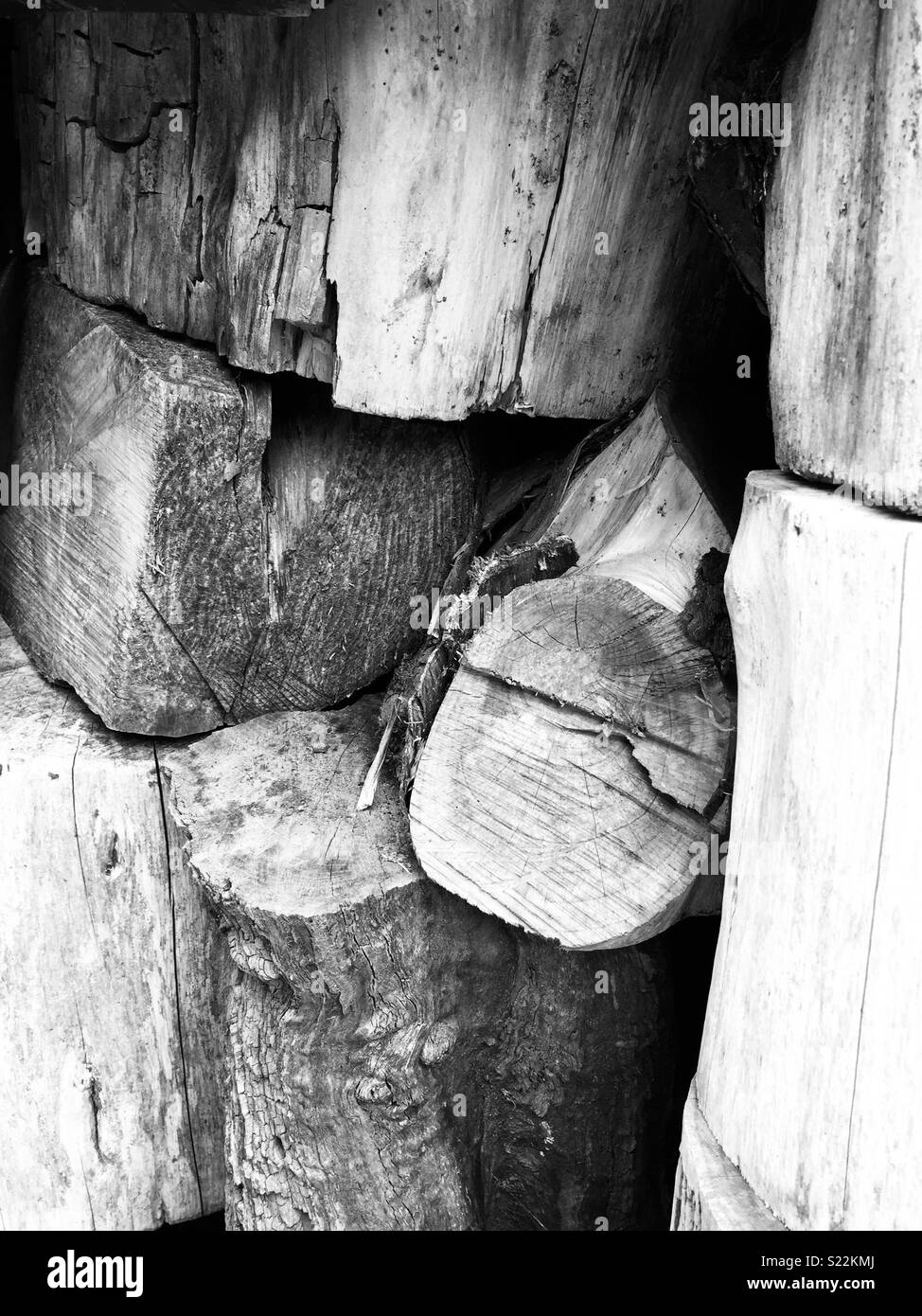 Year long dried logs ready for winter 2018 burning Stock Photo