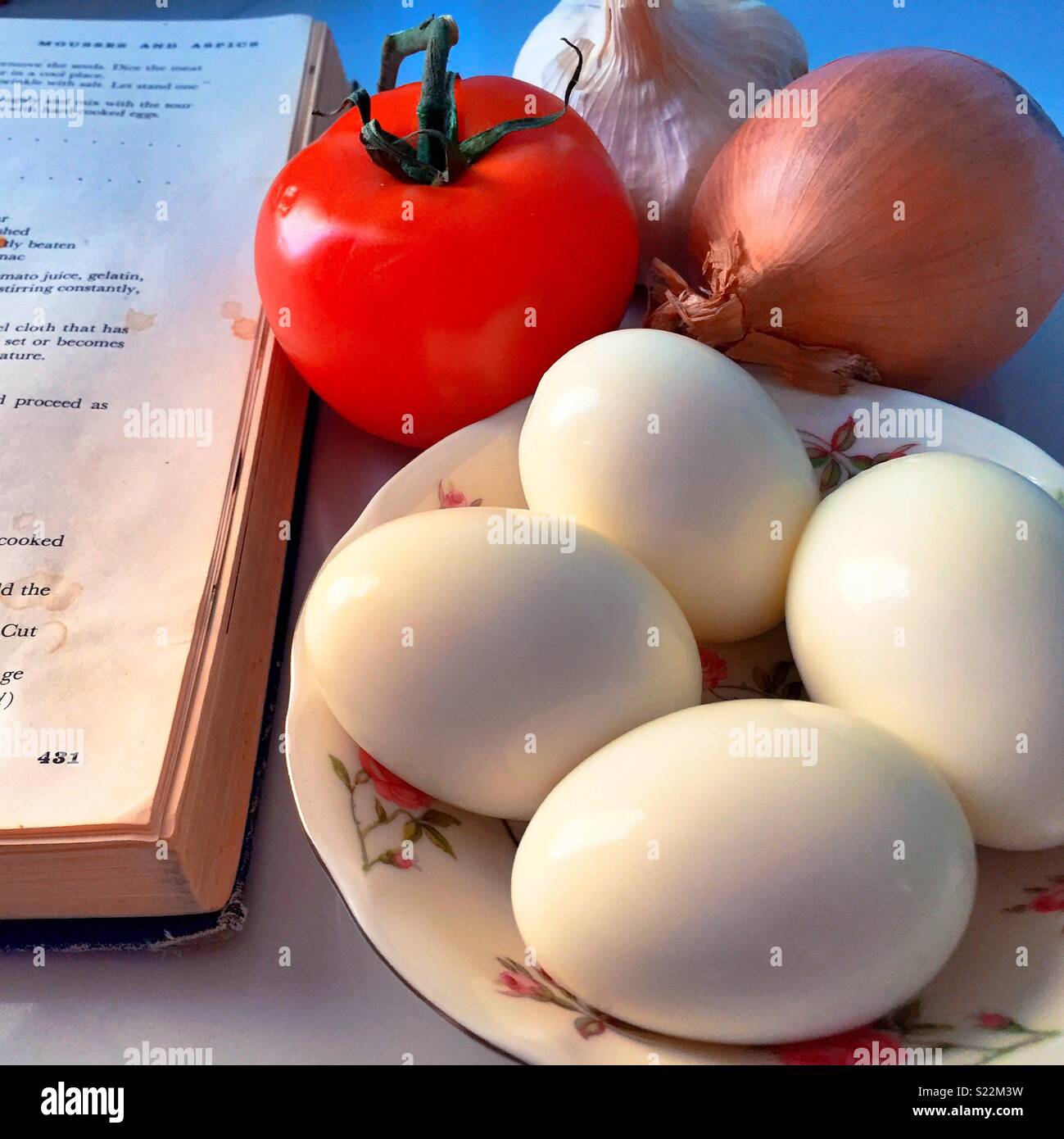 cookbook and fresh ingredients on a chef’s  prep table. - Smartphone Captured Stock Image