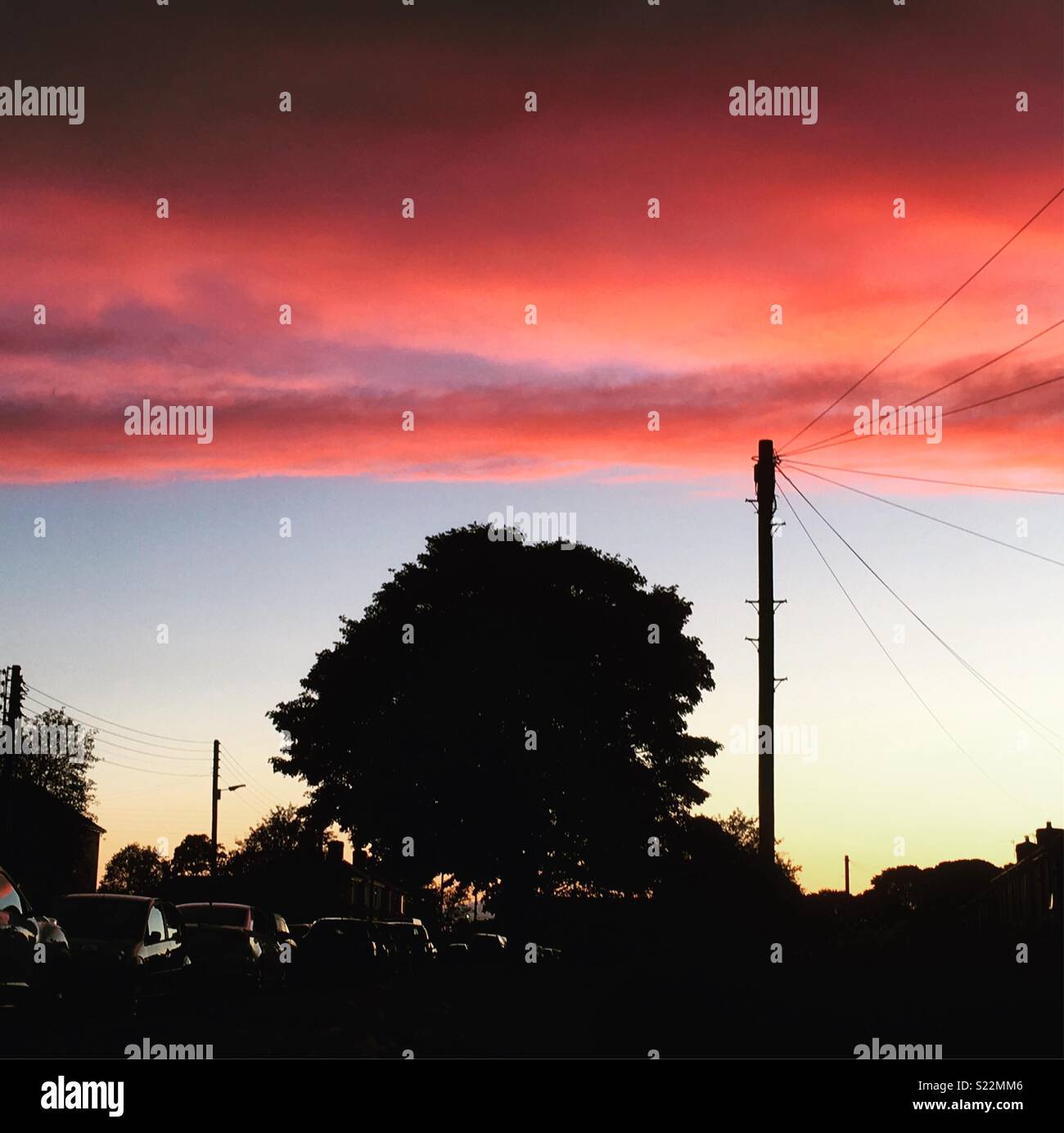 Apocalyptic red clouds over a tree at sunset Stock Photo Alamy