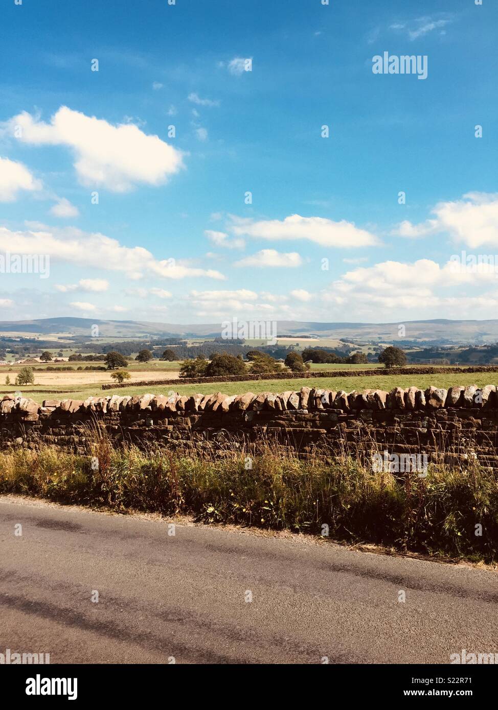 Field at Lazonby, Cumbria Stock Photo Alamy