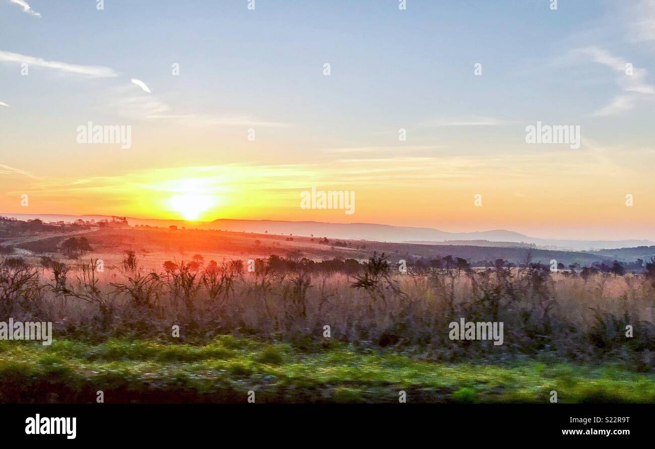 Woodbury Common Stock Photos & Woodbury Common Stock Images Alamy