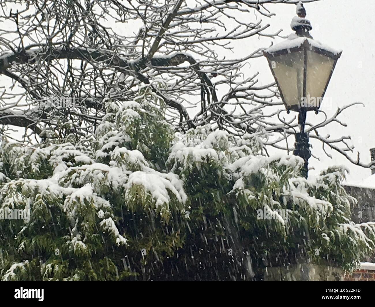 snowy street light desk lamp