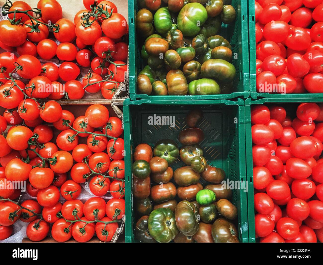 Assortment of different types of tomatoes in crates in a supermarket, Spain Stock Photo