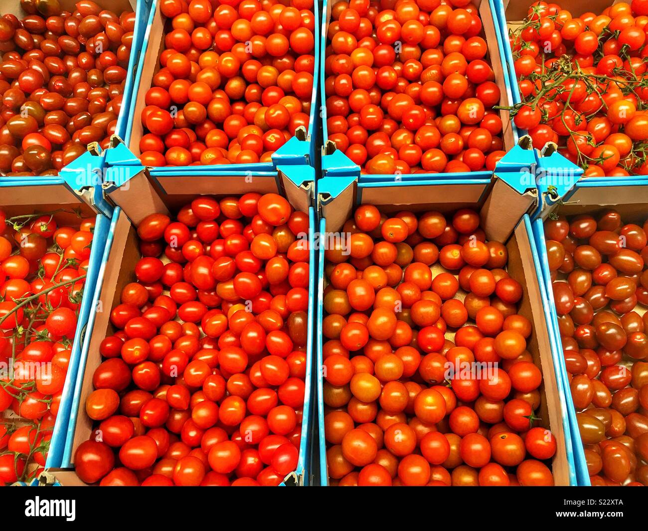 Assortment of different types of tomatoes displayed in crates in a supermarket, Spain Stock Photo