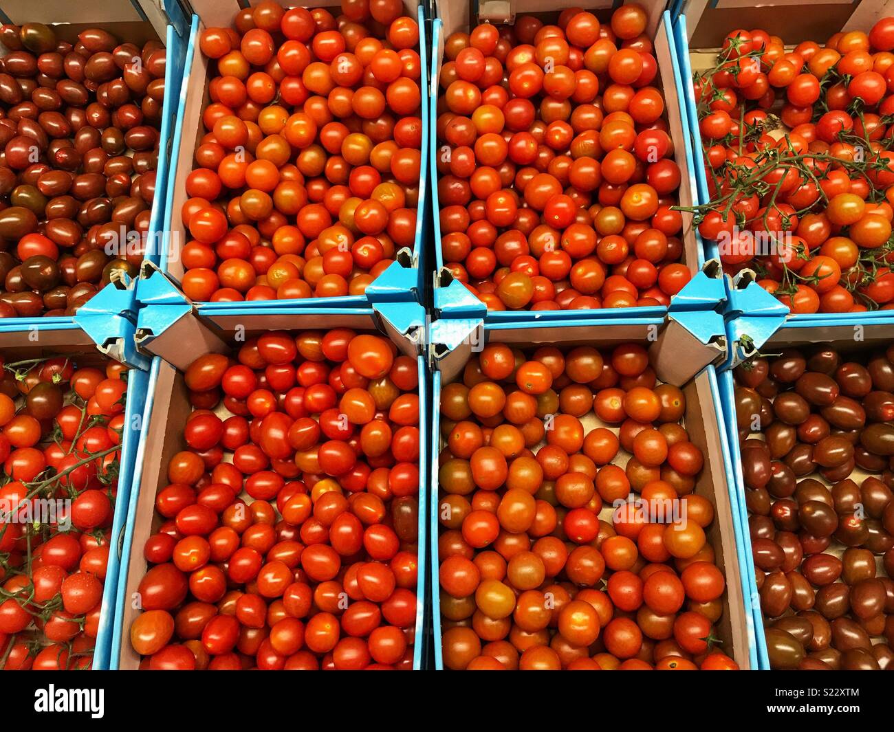 Assortment of different types of tomatoes displayed in crates in a
