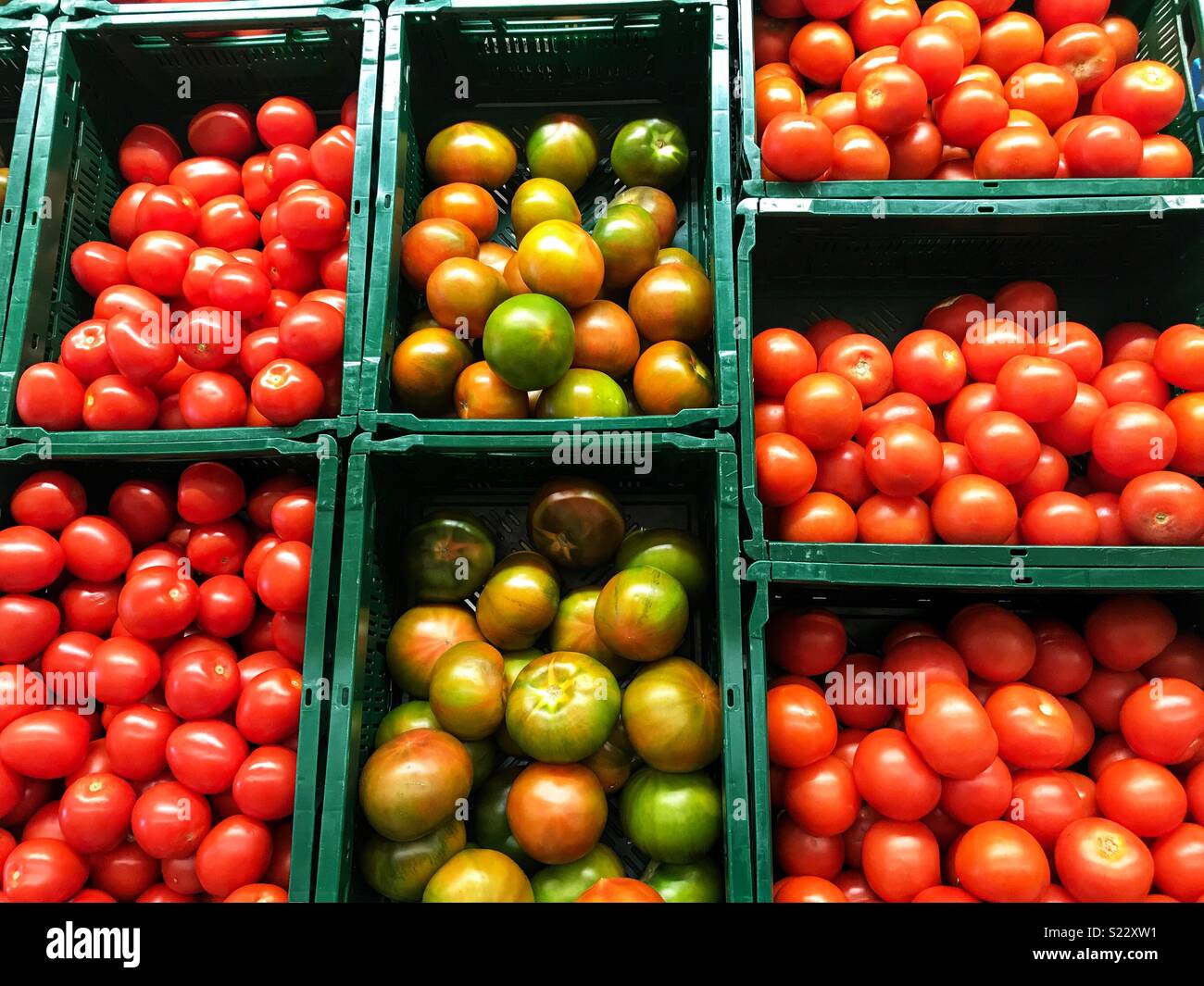 Assortment of different types of tomatoes displayed in crates in a supermarket, Spain Stock Photo