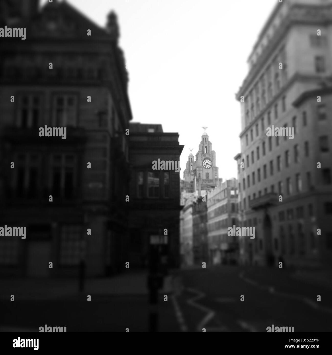 Black and White Liverpool Stock Photo Alamy