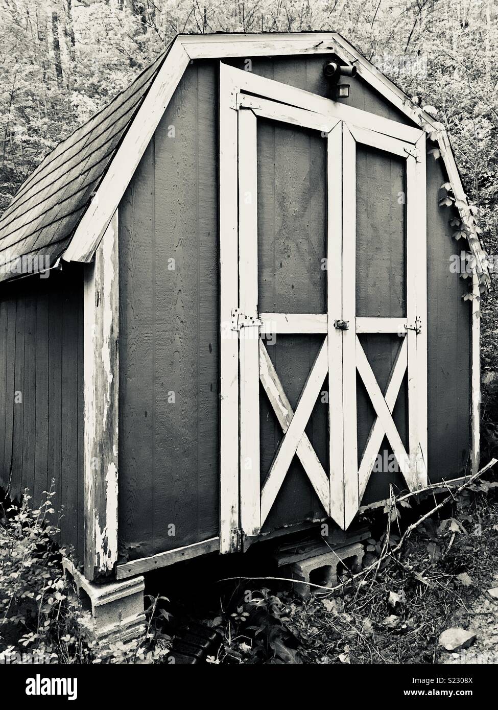 Shed in the woods Stock Photo Alamy