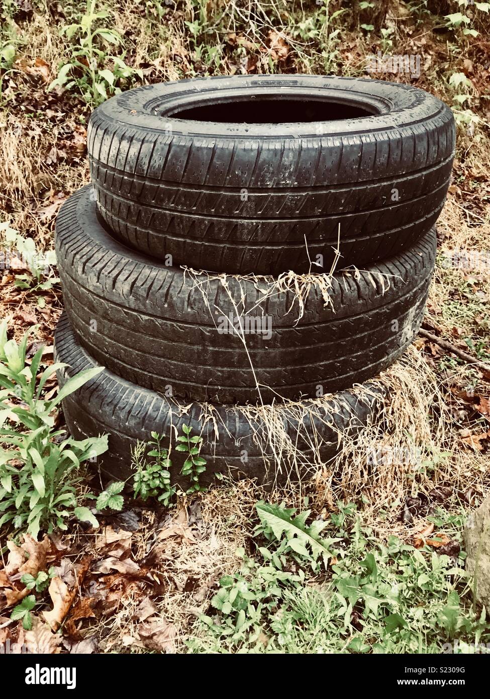 Stack of tires in the grass Stock Photo Alamy