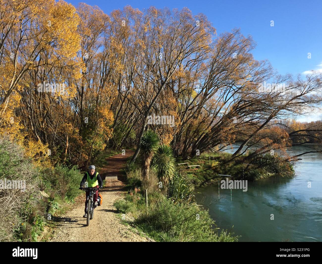 Biking by river in autumn - Smartphone Captured Stock Image