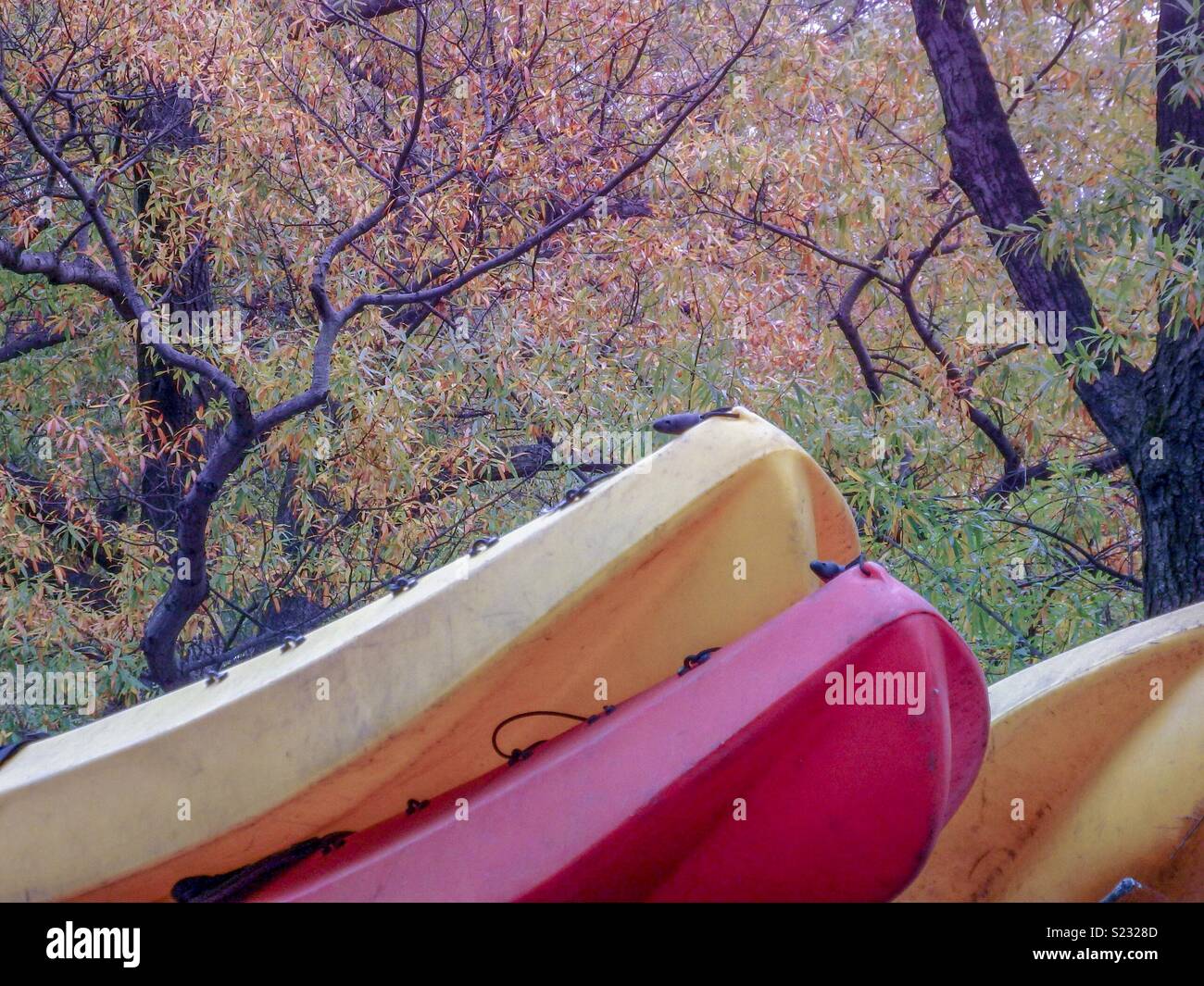 Red and yellow kayaks stacked up in Central Park,Manhattan during the beautiful autumn season Stock Photo