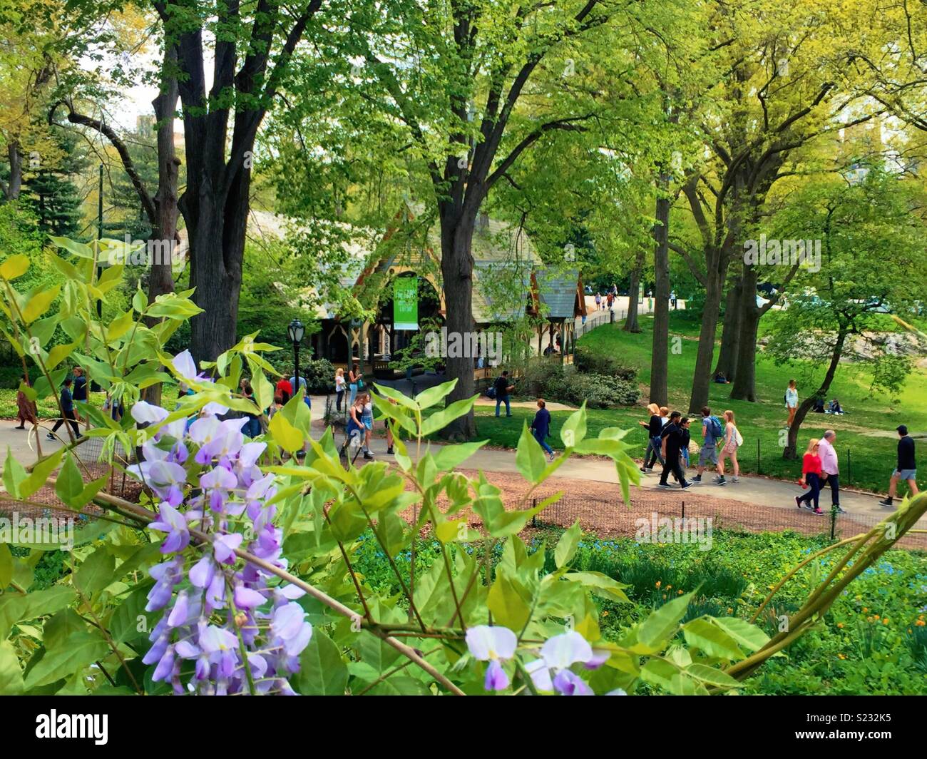 New Yorkers enjoying spring day in Central Park, NYC, USA - Smartphone Captured Stock Image