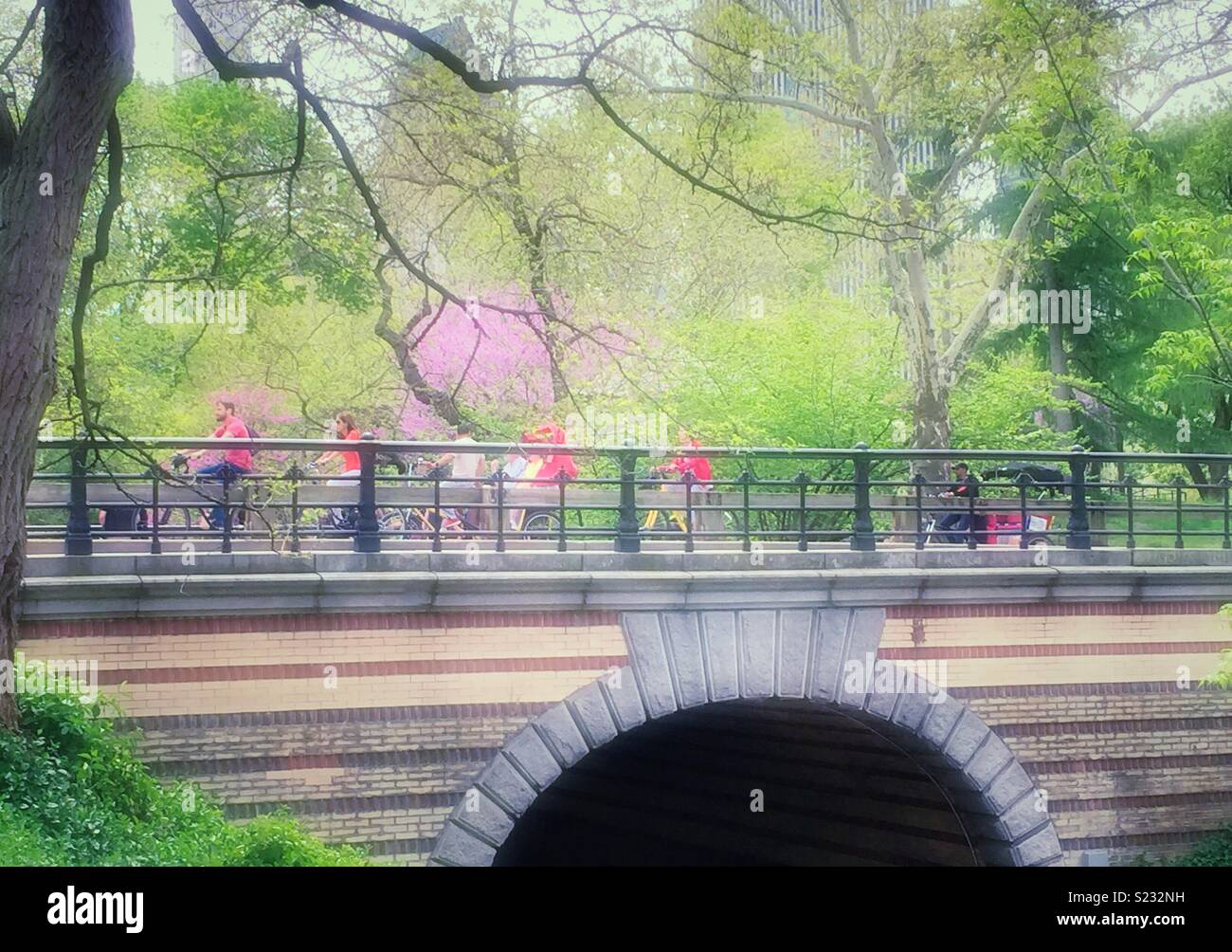 New Yorkers enjoying a spring day in Central Park pass over playmates arch on the East Drive, NYC, USA - Smartphone Captured Stock Image