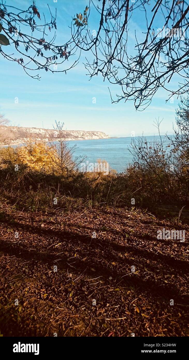 The warren in Folkestone Stock Photo Alamy