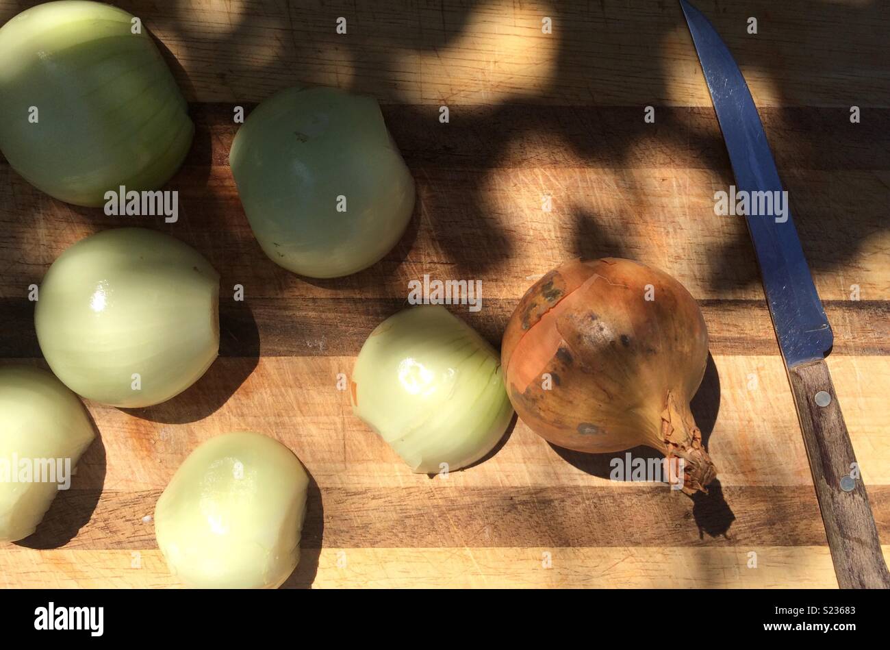 Peeled Onions on chopping board Stock Photo