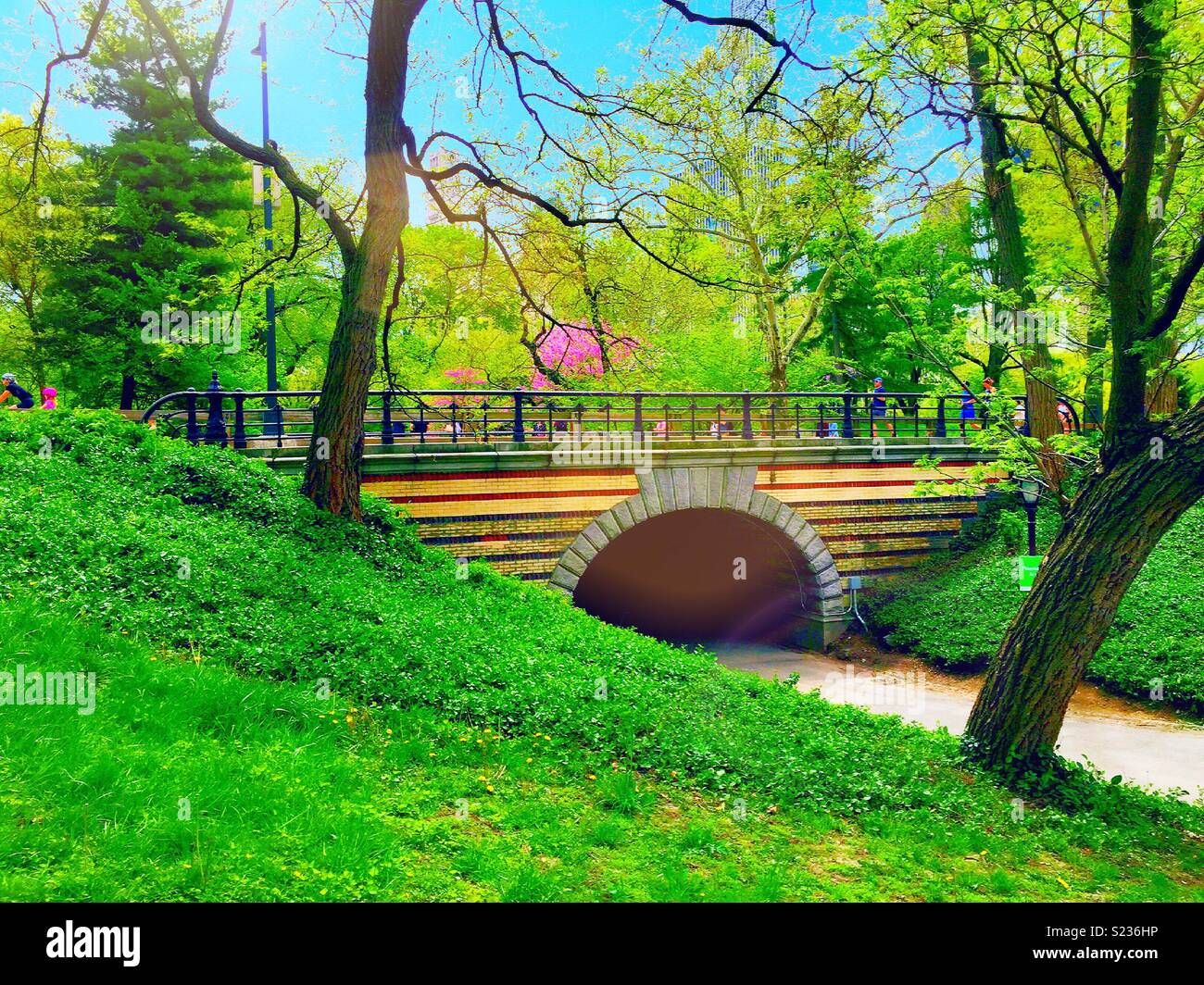 The playmates arch in Central Park is surrounded by blooming trees in the spring time, NYC, USA - Smartphone Captured Stock Image