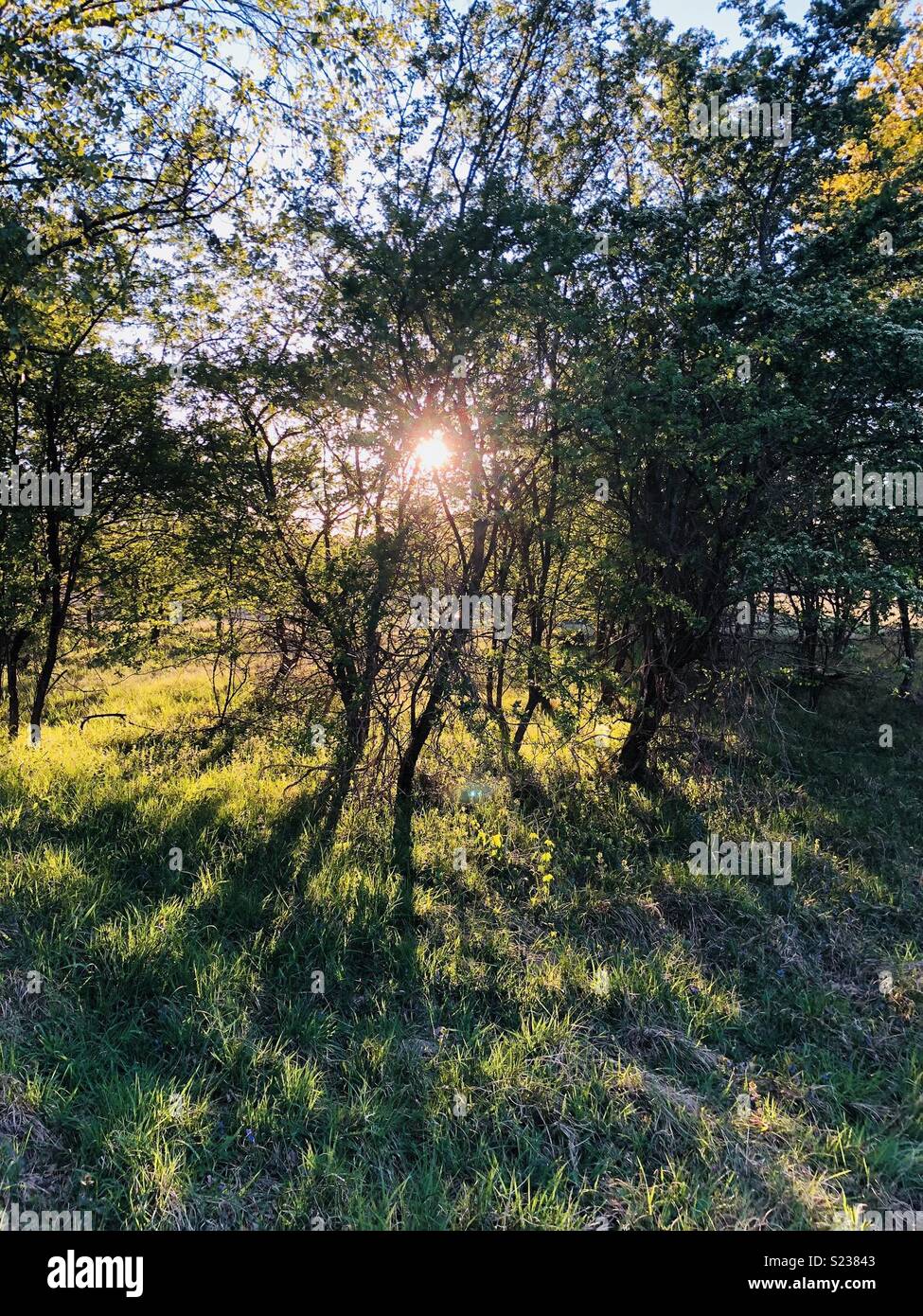 De zon komt door. Dodenherdenking 2018. Doodstil en dan dit zonnetje, kippenvel. Stock Photo