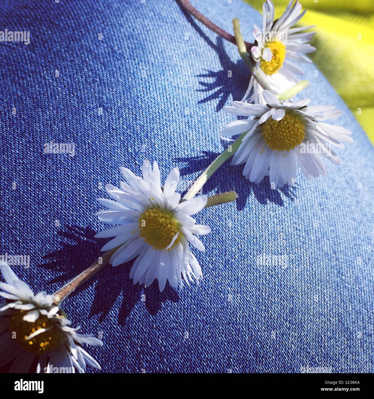 Daisy chain hires stock photography and images Alamy