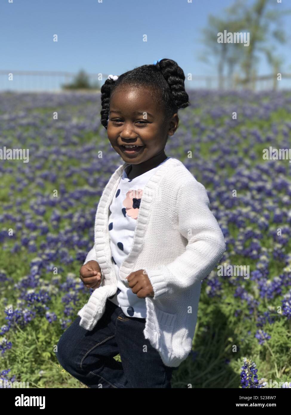 Granddaughter in bluebonnet field Stock Photo