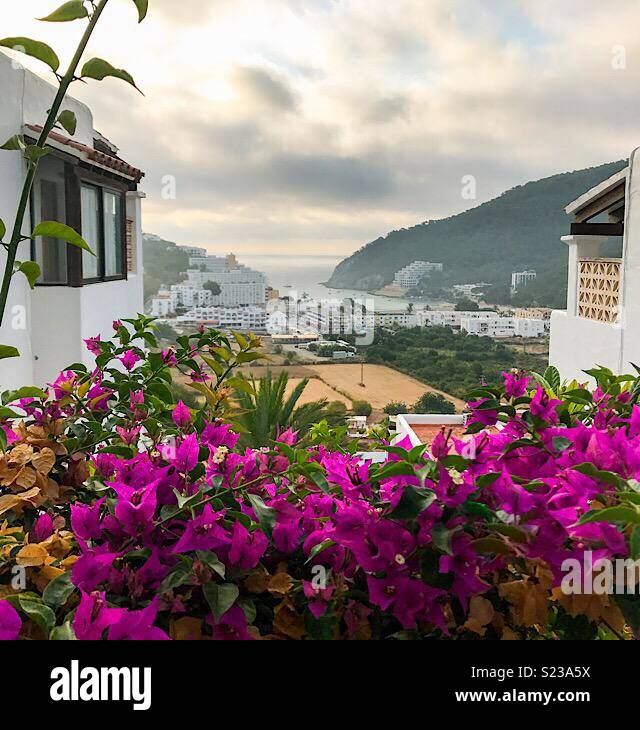 Flowers ibiza hi-res stock photography and images - Alamy