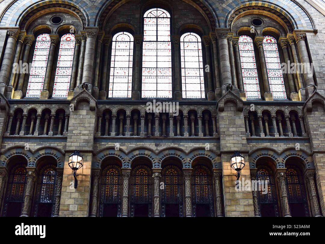 Inside the Natural History Museum, London, UK. Stock Photo