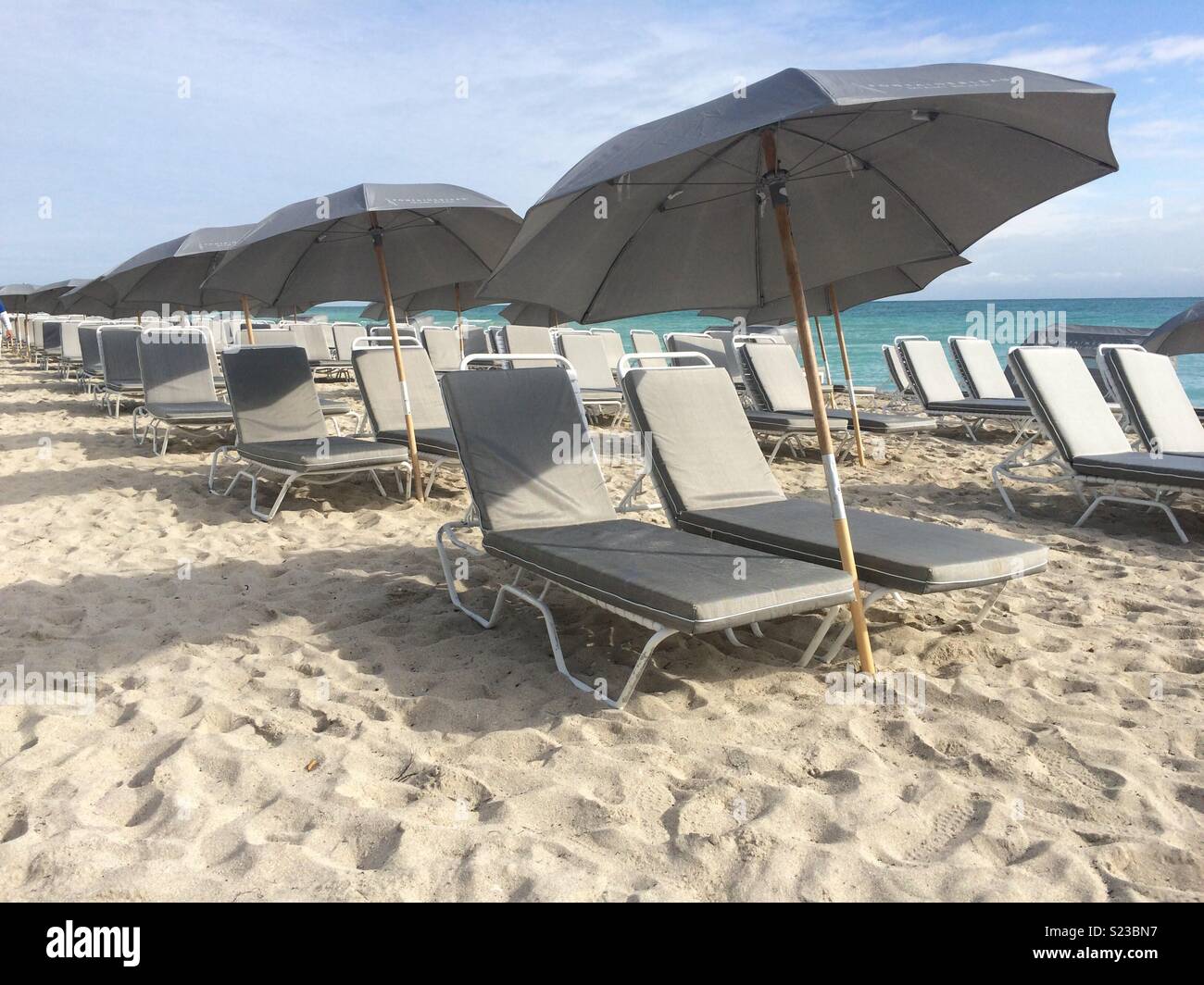 Sun loungers and umbrellas lined up on the sandy beach in Miami. Stock Photo