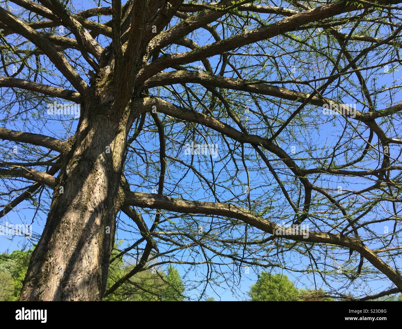 Blue sky thinking Stock Photo Alamy