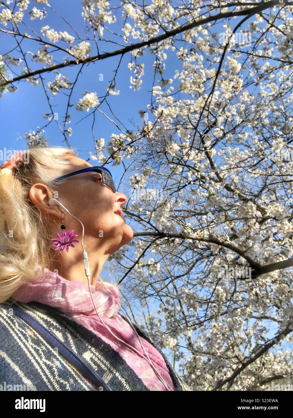 Woman looking up at the cherry blossoms. Stock Photo