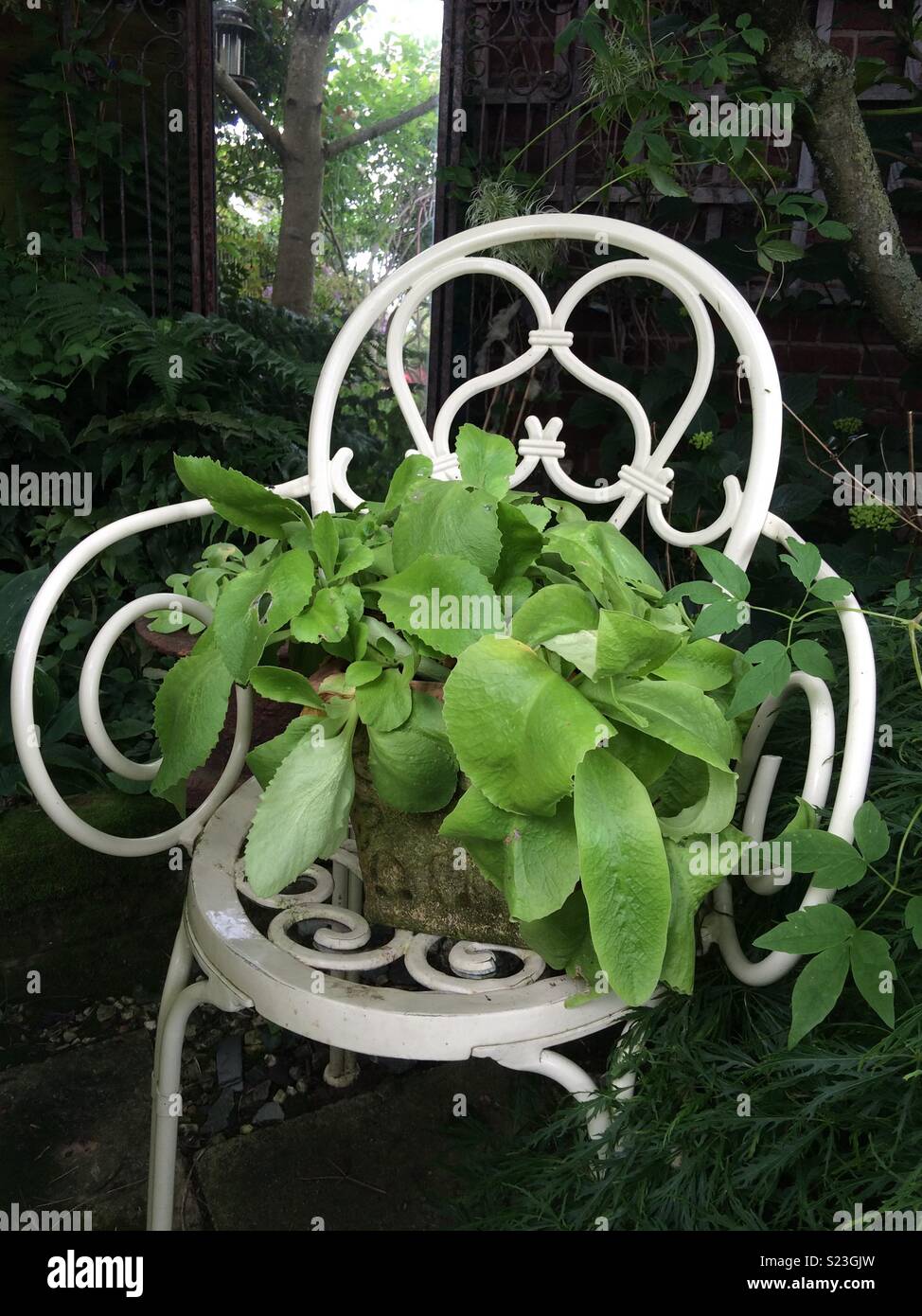 Planted chair Stock Photo