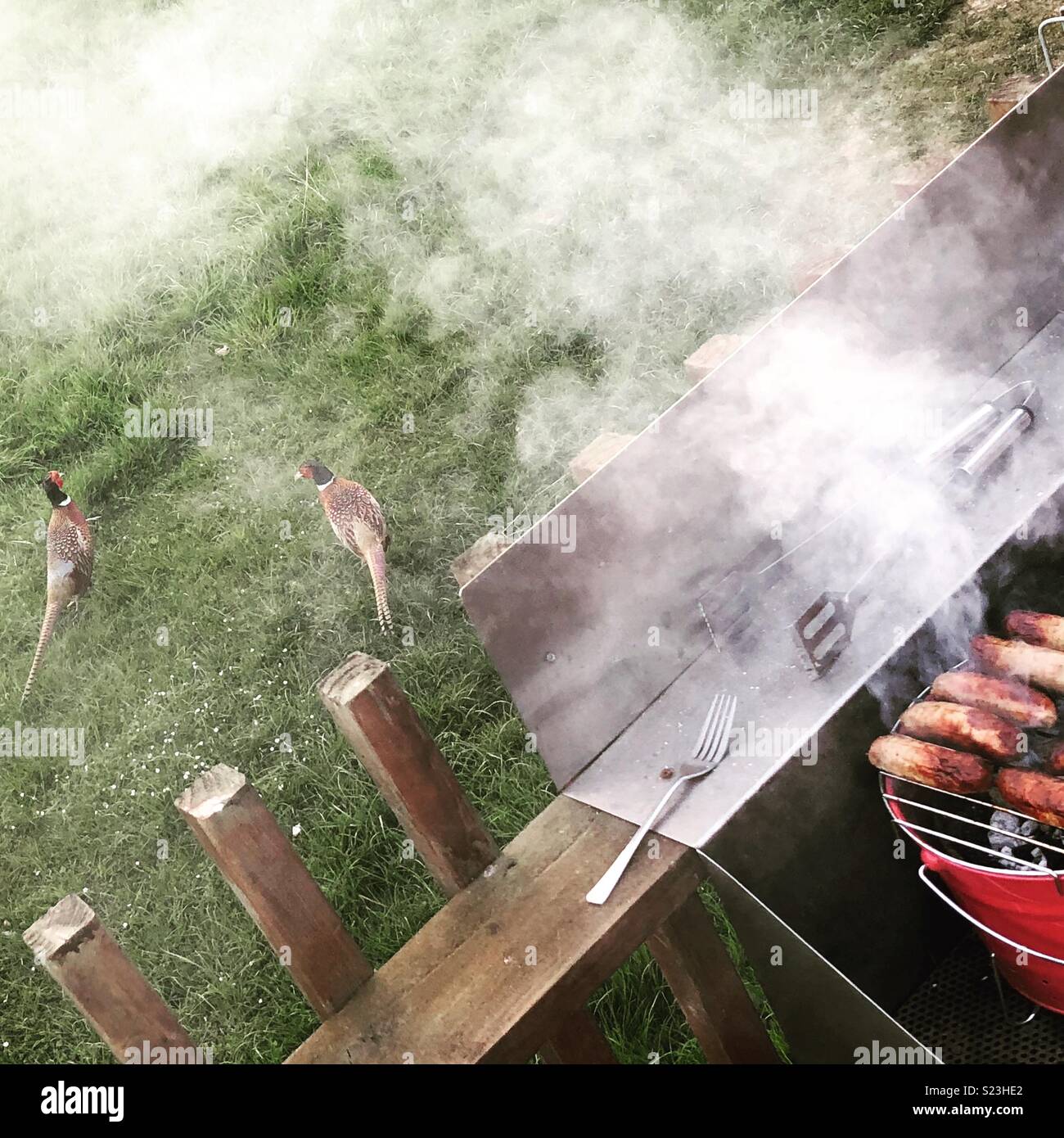 Kinda tempted to ditch the sausages.... Stock Photo