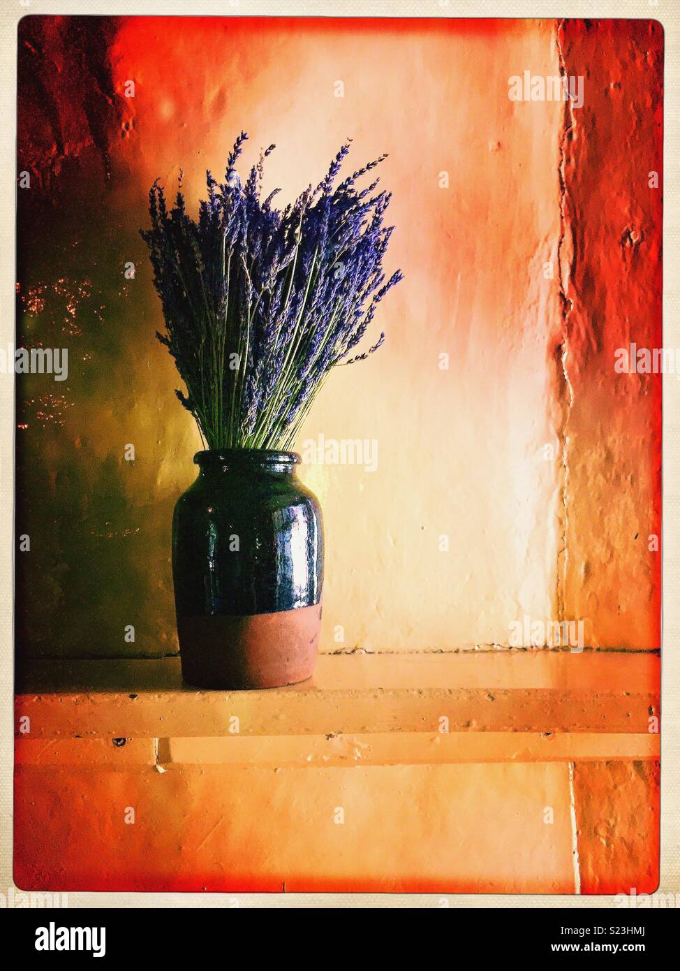 Pot of lavender on a rustic country farmhouse shelf. - Smartphone Captured Stock Image