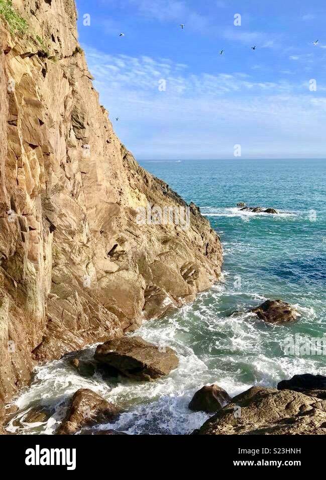 South Devon UK Stock Photo Alamy