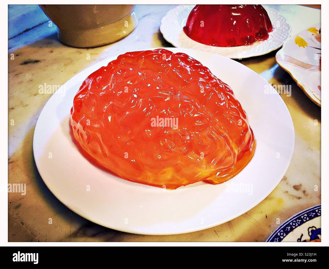 Brain made of jelly/jello on a plate. - Smartphone Captured Stock Image