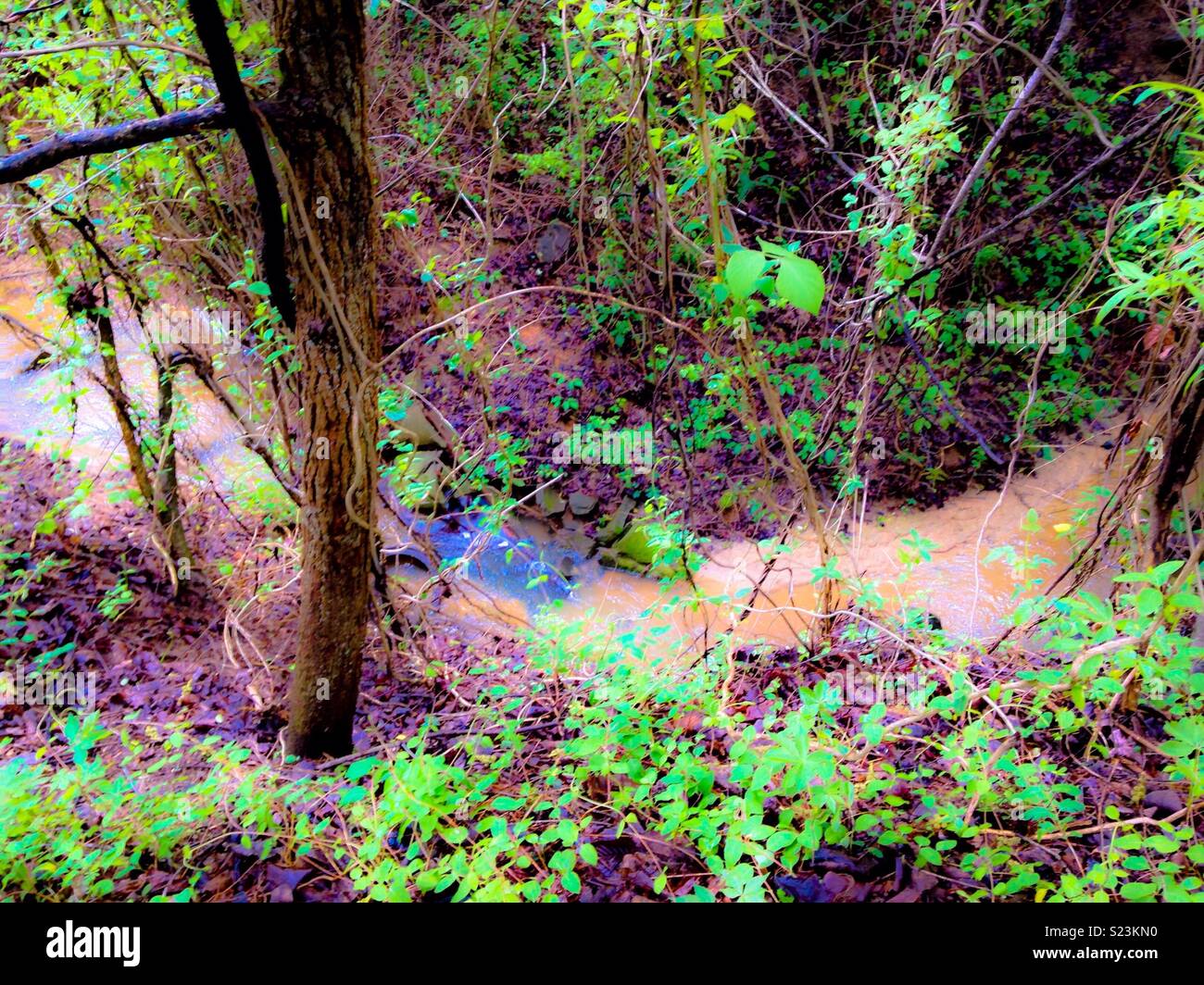 Dreamy photo of downward view of wooded creek in North Carolina - Smartphone Captured Stock Image