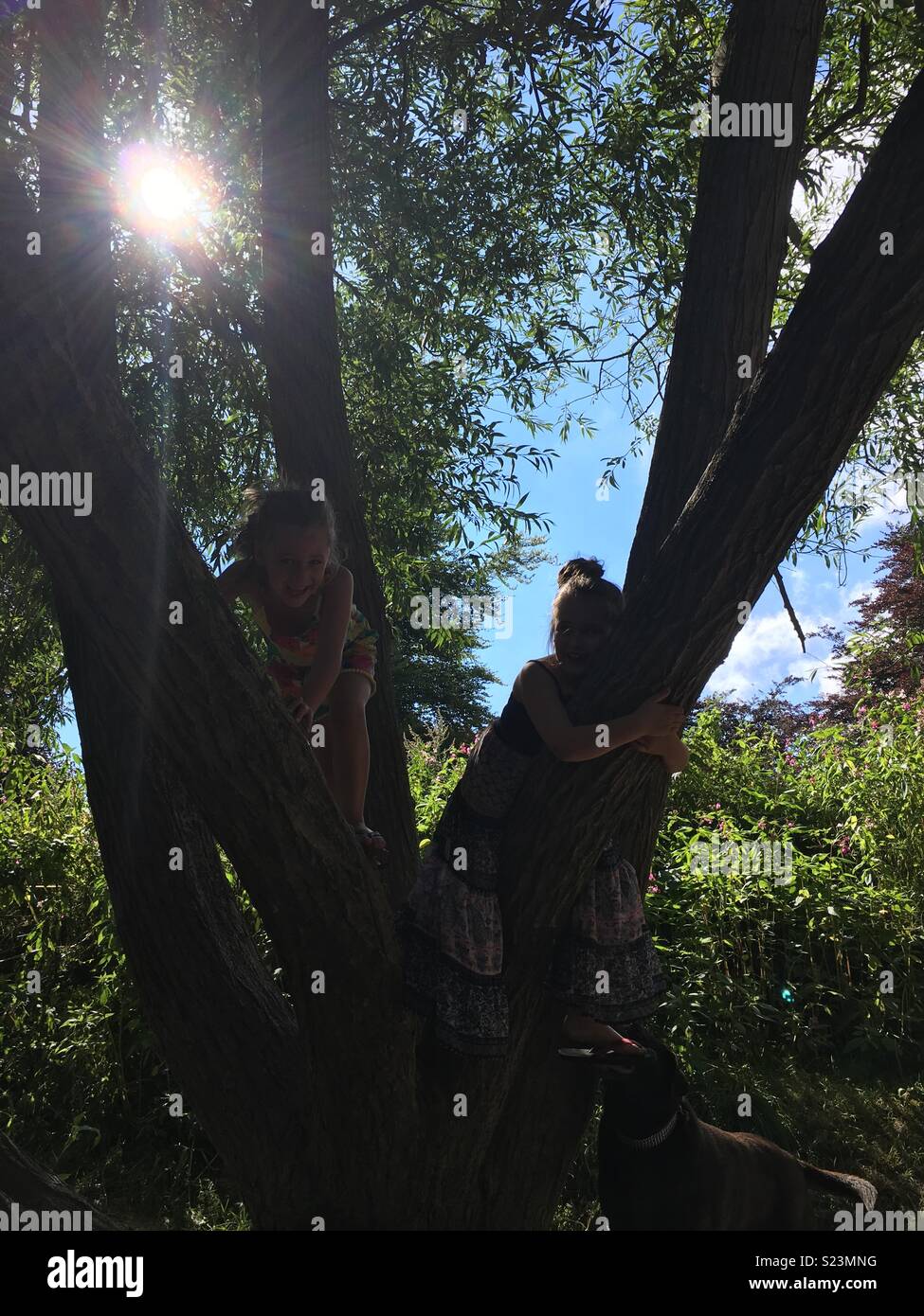 Summer time fun.sun filtering through the trees while kids joyfully play. Stock Photo