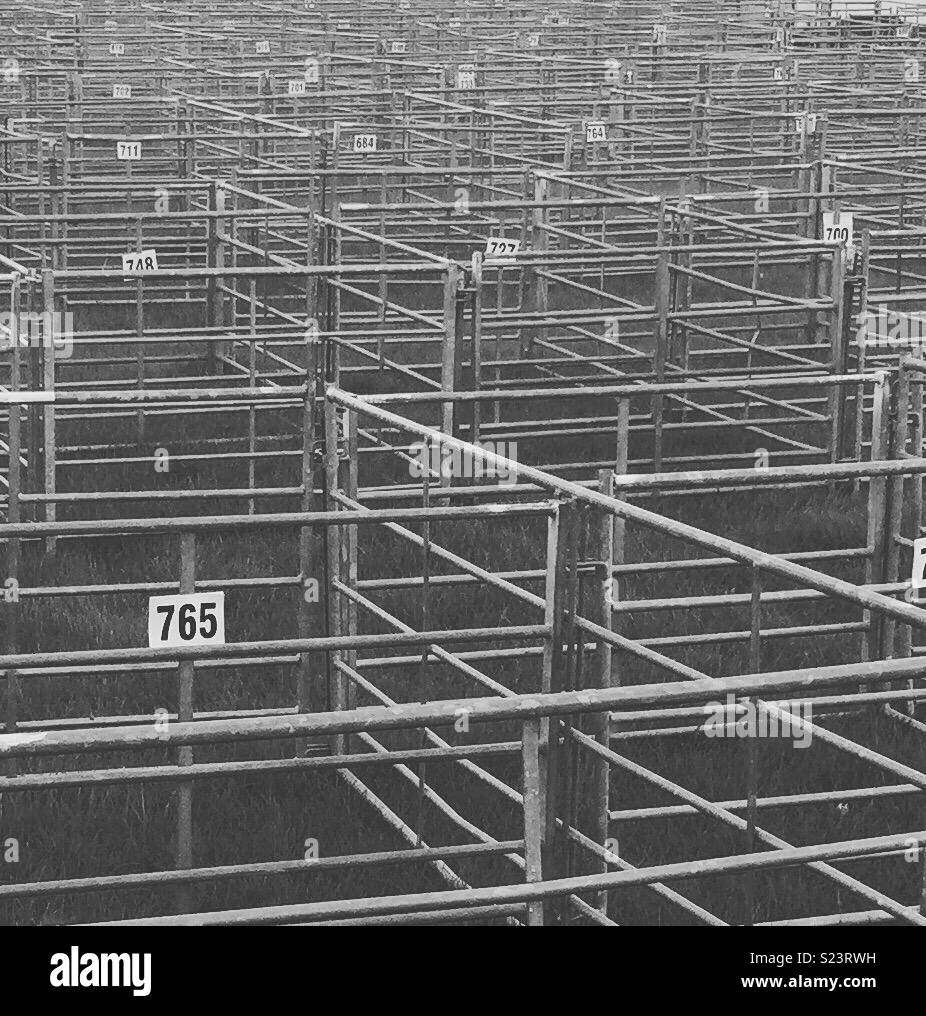 Pattern numbers hi-res stock photography and images - Alamy