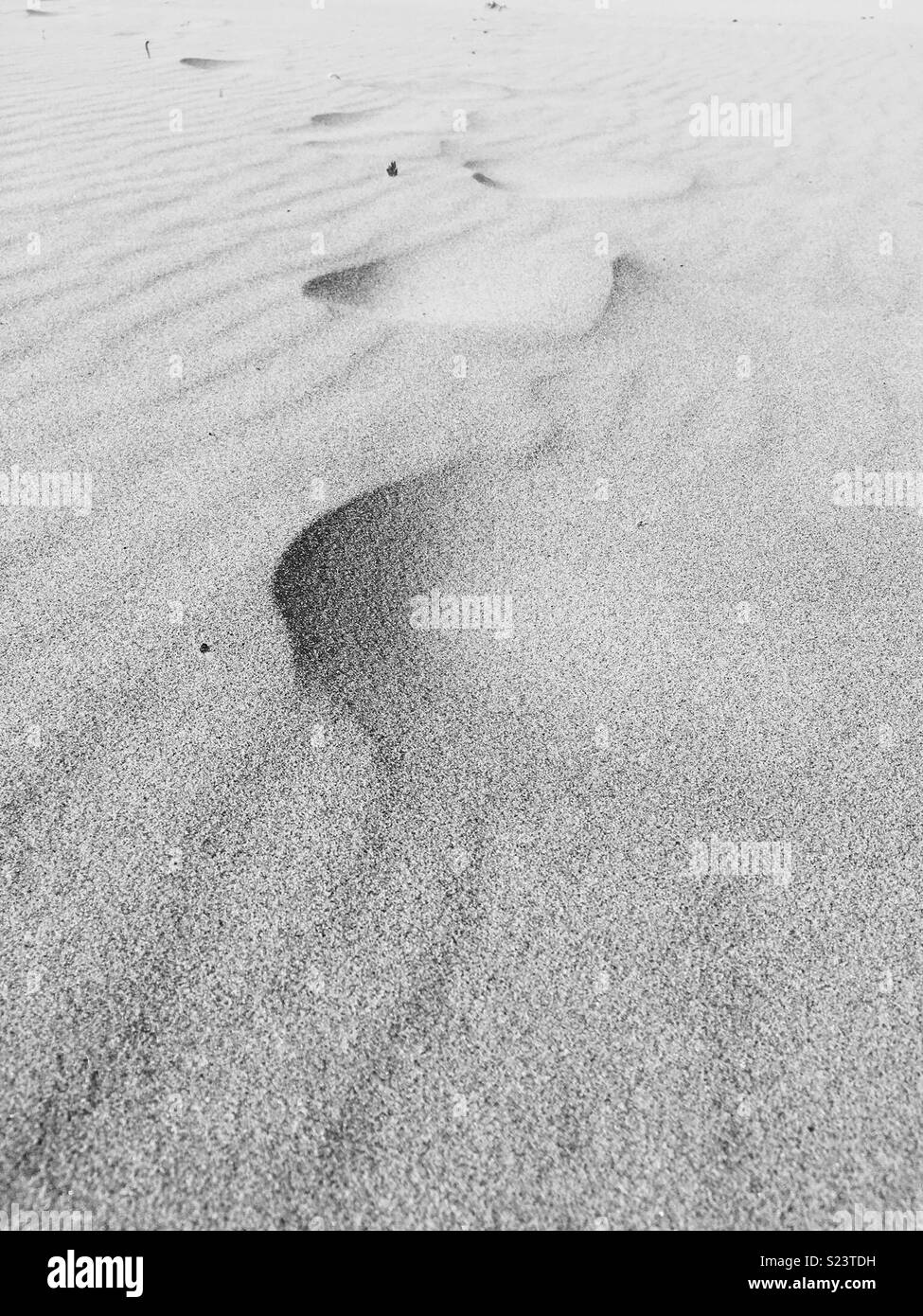Beach sand dune Black and White Stock Photos & Images - Alamy