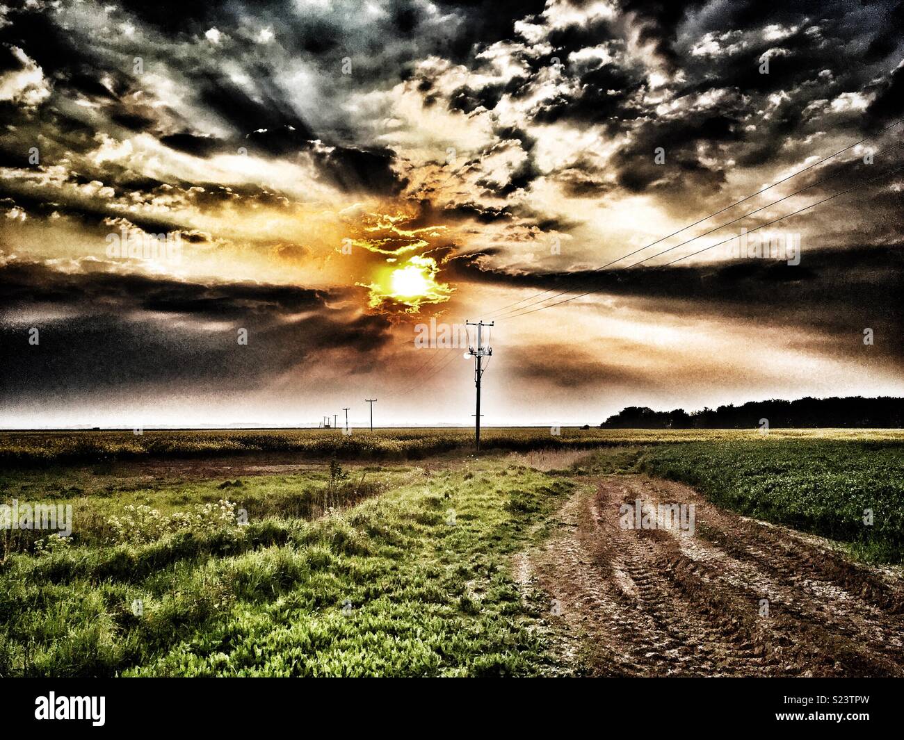 Dirt track though marshes, Bawdsey Ferry, Suffolk, England. - Smartphone Captured Stock Image
