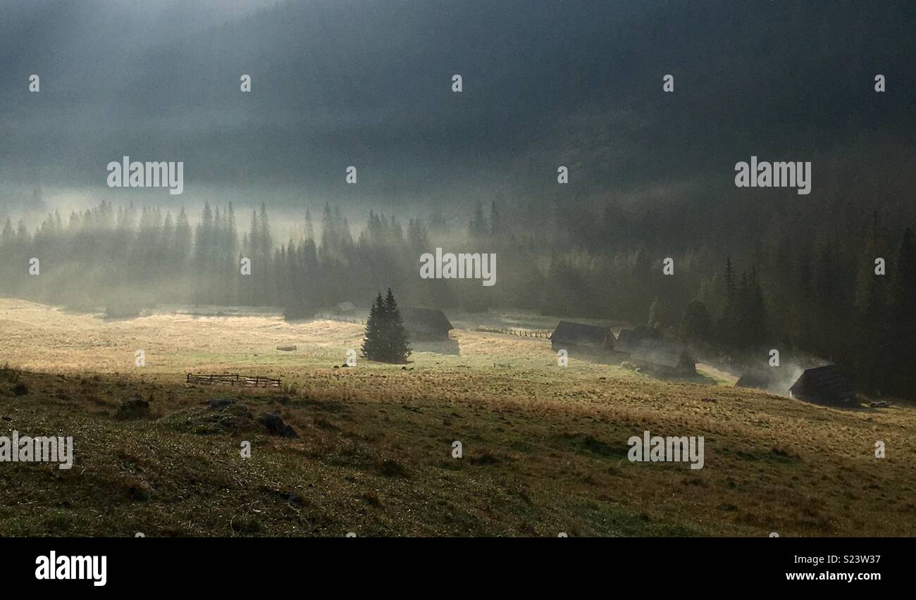 Misty morning in Chocholowska Valley, Tatras Stock Photo