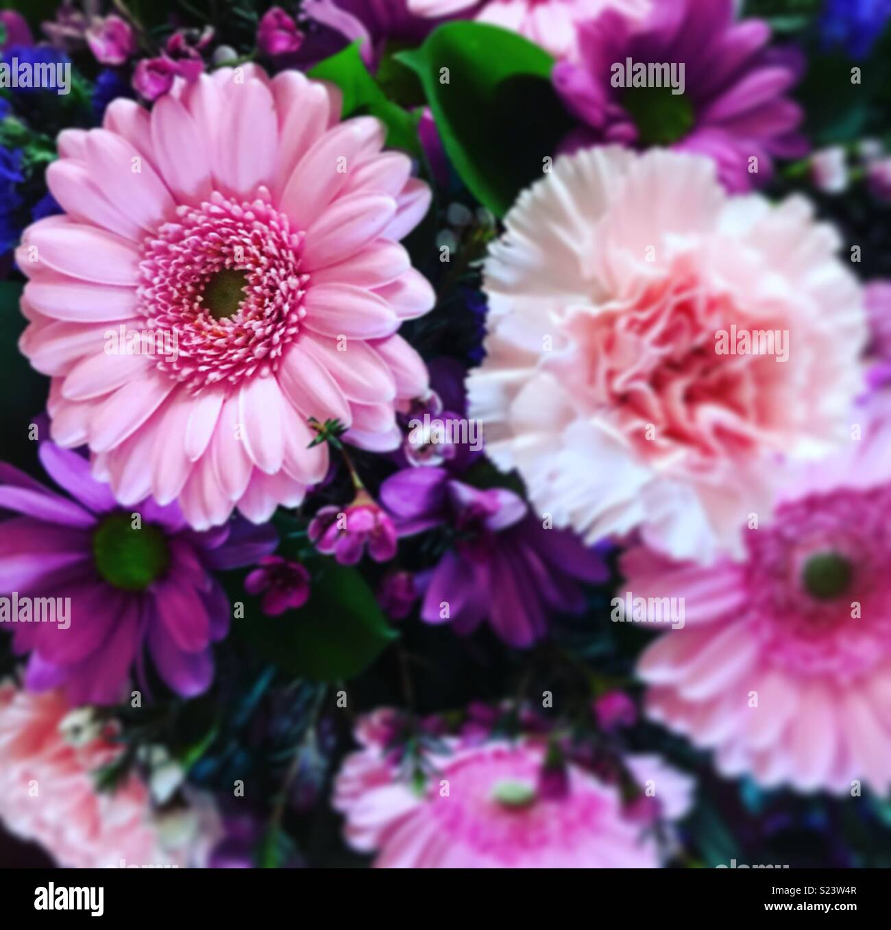 Flower arrangement. Stock Photo