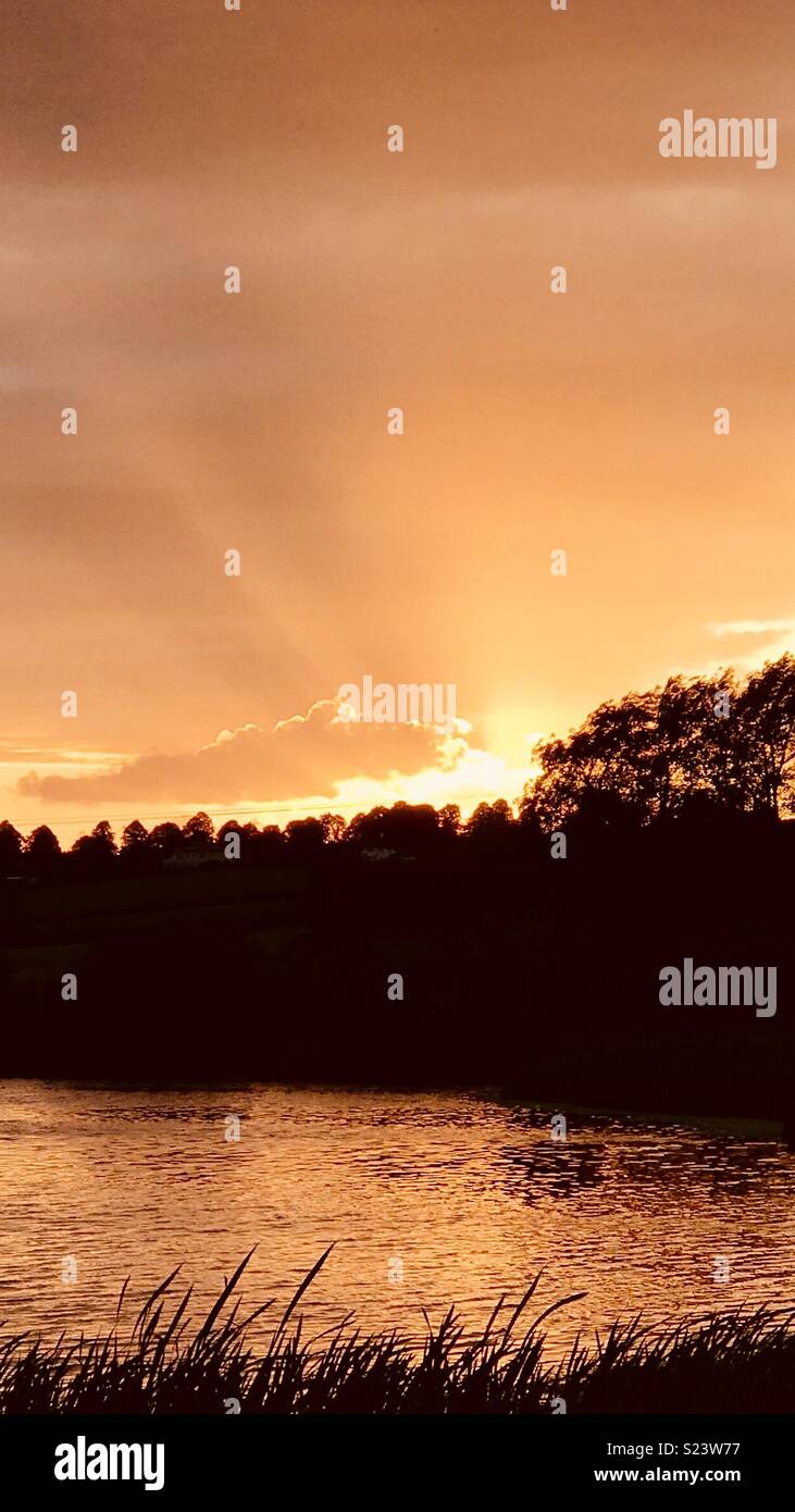 Sunset over trees and water. Stock Photo